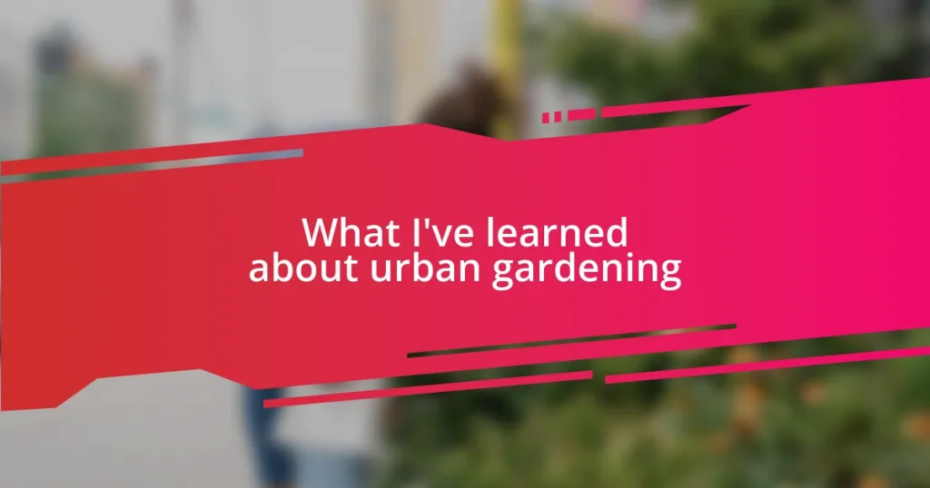 What I’ve learned about urban gardening